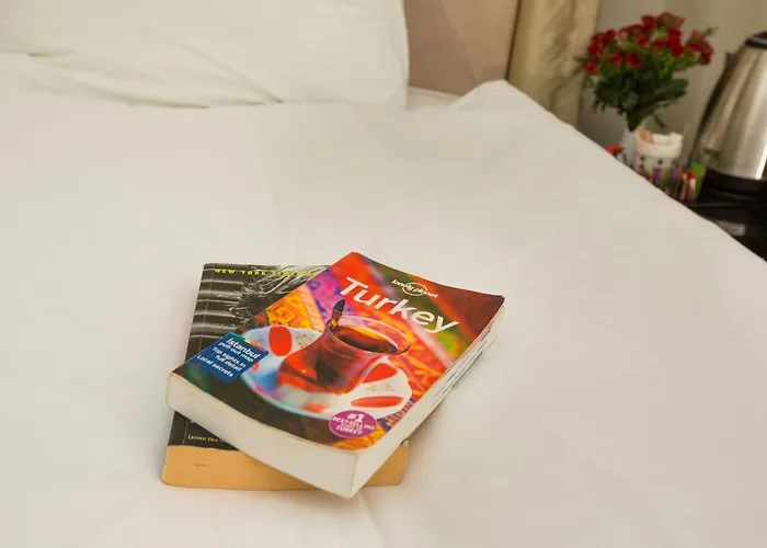 Honey Hotel Istanbulská provincie